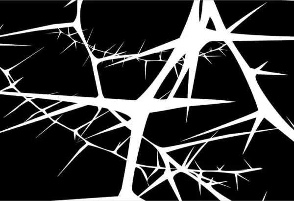 Acacia (black) – Bild 2
