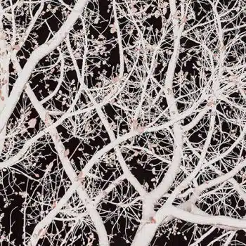 Atlas-tree
