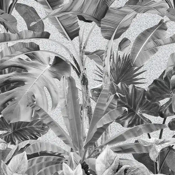 Banana Forest B&W – Bild 2