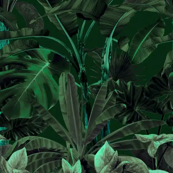 Banana Forest Emerald – Bild 2