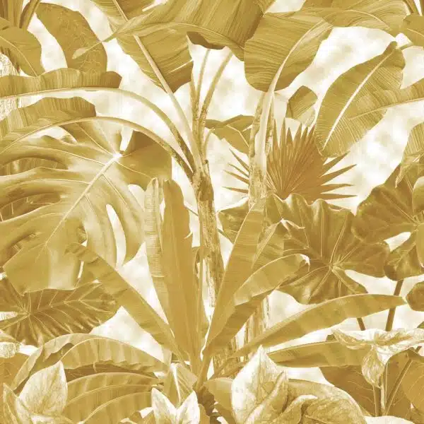 Banana Forest Gold – Bild 2