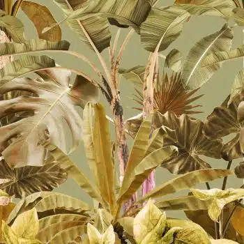 Banana Forest Olive