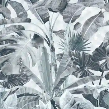 Banana Forest Powder