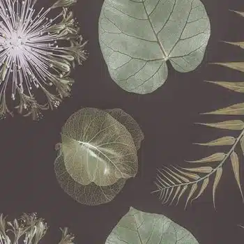 Botanique