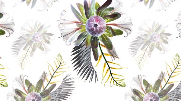 Bouquet – Bild 2