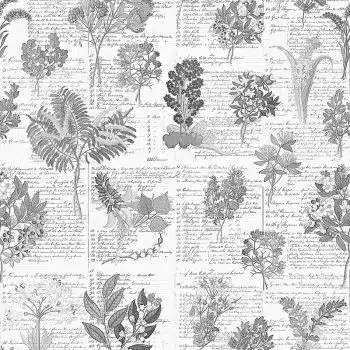 Cape Flora B&W