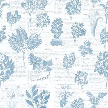 Cape Flora Blauw