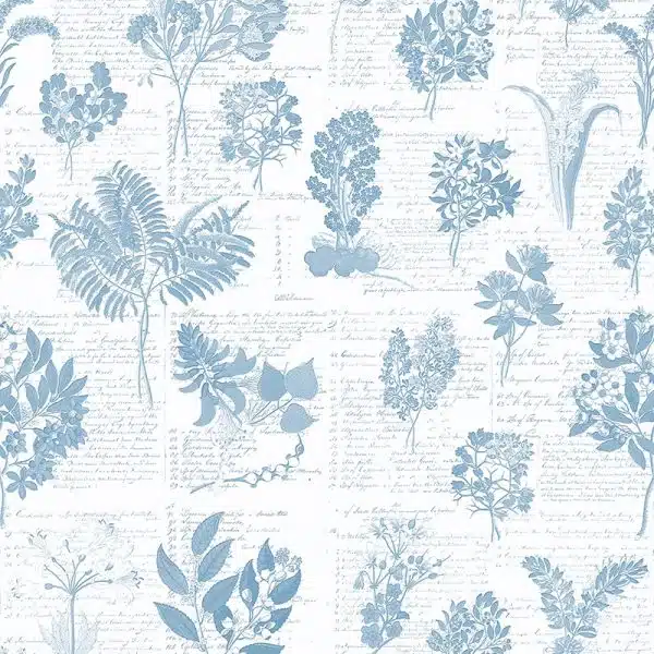 Cape Flora Blauw – Bild 2