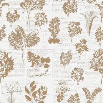 Cape Flora NotePaper