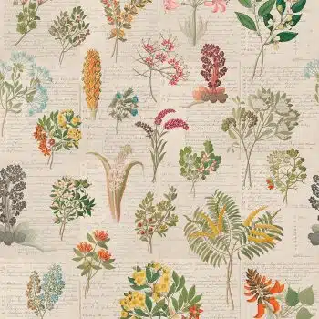 Cape Flora Paper