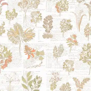 Cape Flora Pastel