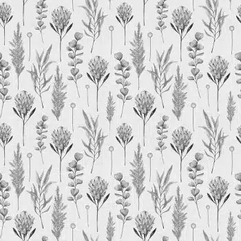 Cape Protea B&W
