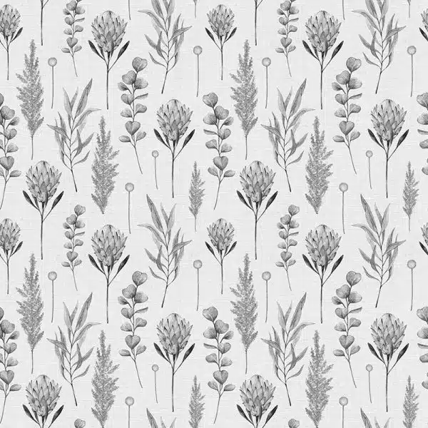 Cape Protea B&W – Bild 2