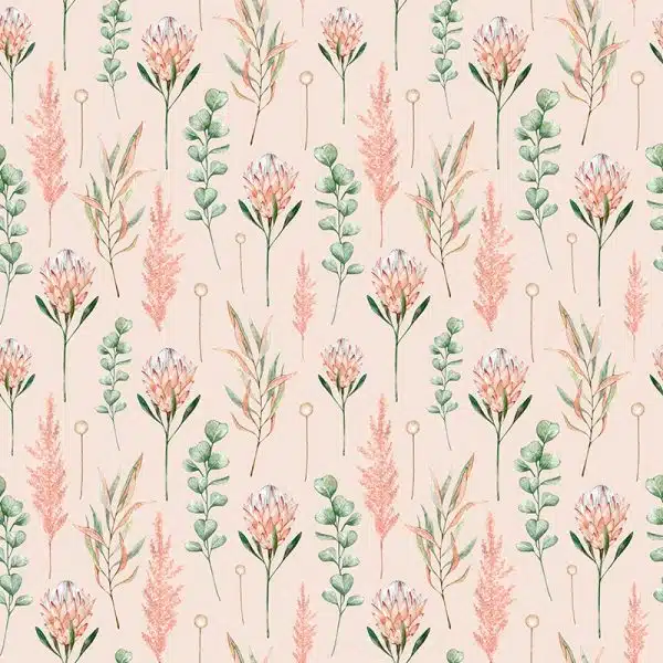 Cape Protea Soft Pink – Bild 2