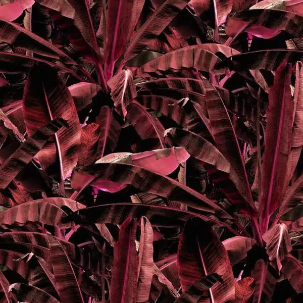Crazy Banana Ruby – Bild 2