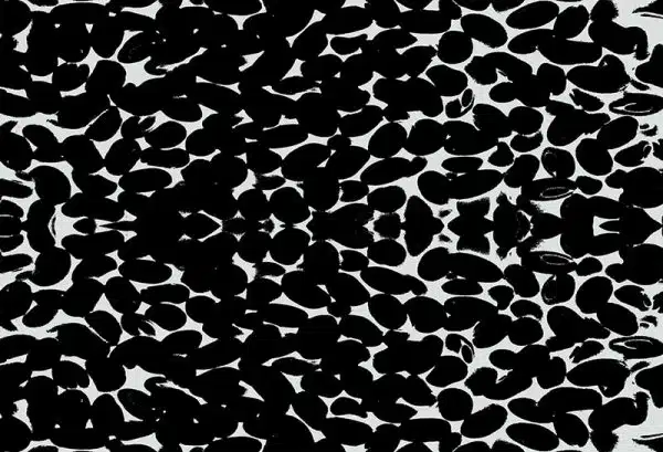 Dagomba (black) – Bild 2