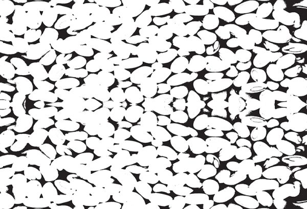 Dagomba (white) – Bild 2