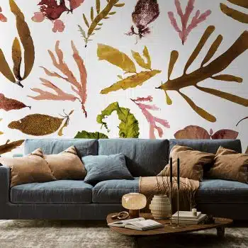 Clinton Friedman - Slow Tide Collection