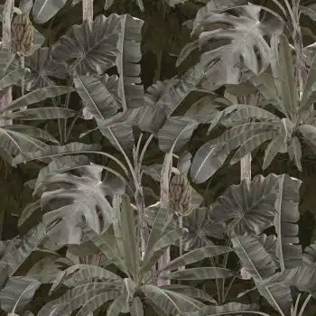 Deep Forest Deep Grey
