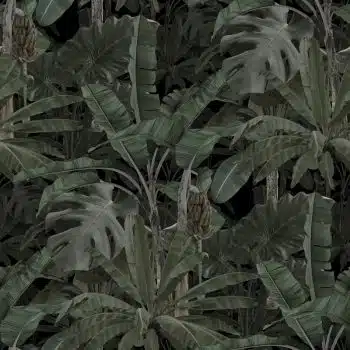 Deep Forest Night