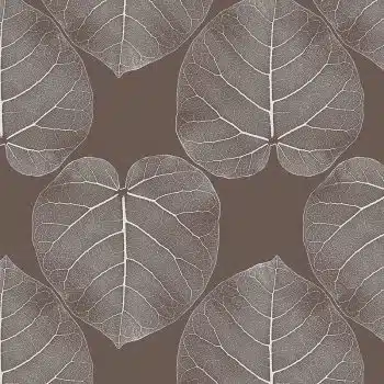 FICUS (African-mud)
