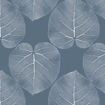 FICUS (Atlantis)