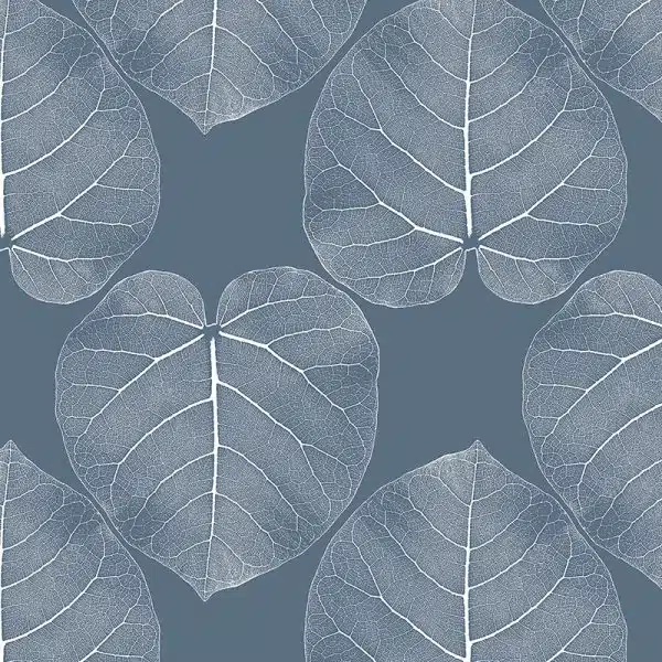 FICUS (Atlantis) – Bild 2