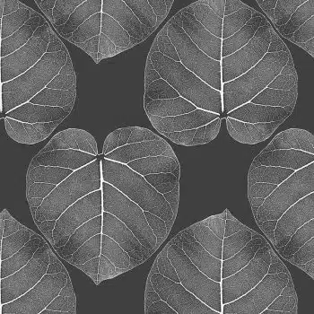 FICUS (Atmosphere)