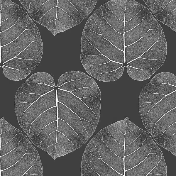 FICUS (Atmosphere) – Bild 2