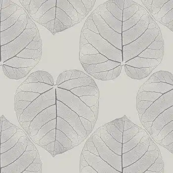 FICUS (Cognac-Cream)