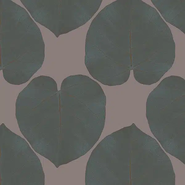 FICUS (Crushed-Shell) – Bild 2