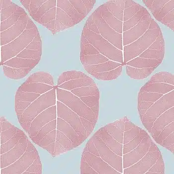 FICUS (Diamond)