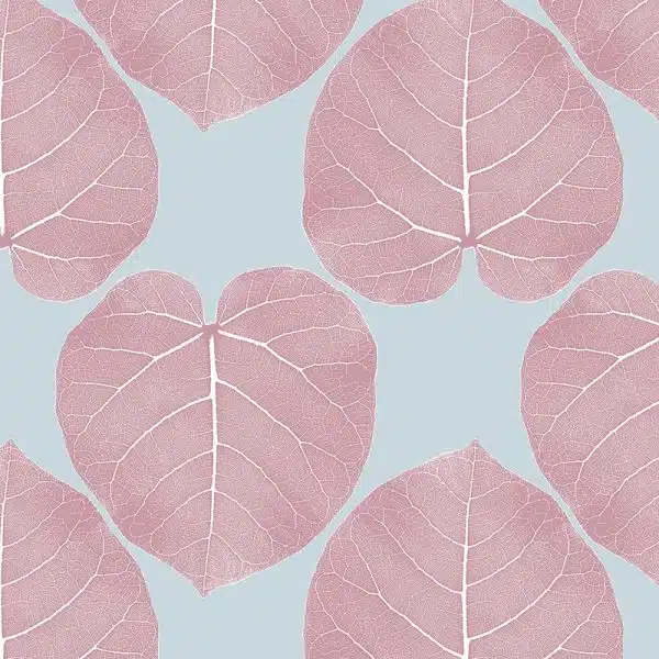 FICUS (Diamond) – Bild 2