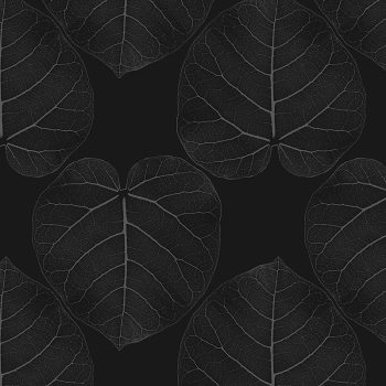 FICUS (Metro)