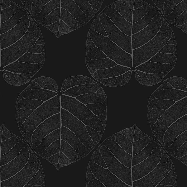 FICUS (Metro) – Bild 2