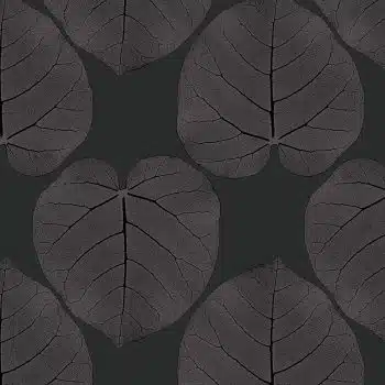 FICUS (Night-Iris)