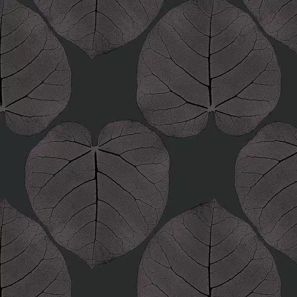 FICUS (Night-Iris) – Bild 2