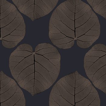 FICUS (Onyx)