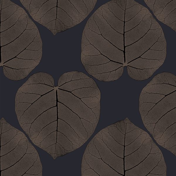 FICUS (Onyx) – Bild 2