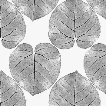 FICUS (Orchid-Grey)
