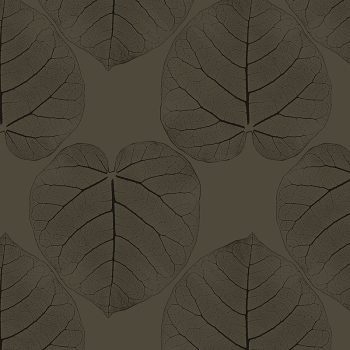 FICUS (Phantom)