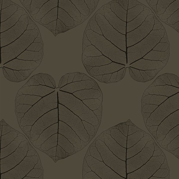 FICUS (Phantom) – Bild 2
