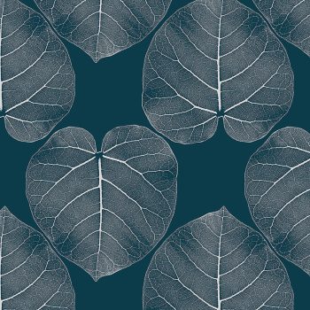 FICUS (Undersea)