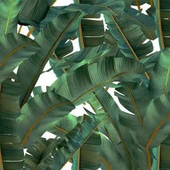 Tropical Jungle Leaf Jamaica