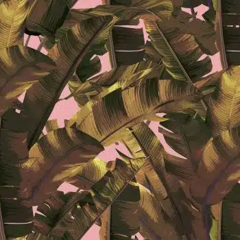 Jungle Leaf Ghana