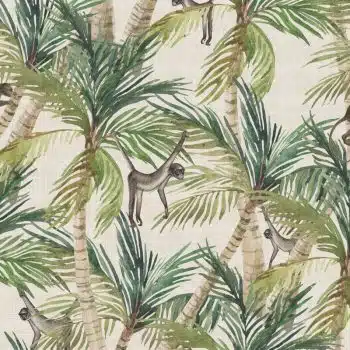 Palm Monkey