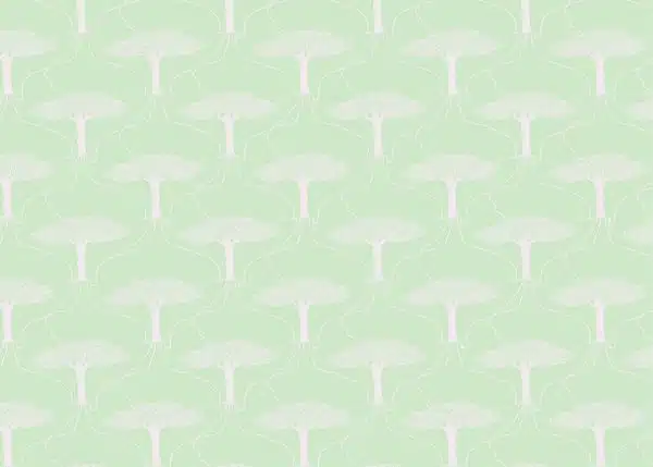 French Lifetree - Light Green – Bild 2