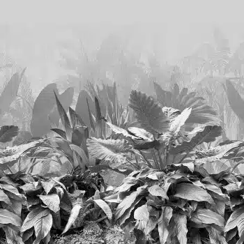 Garden B&W