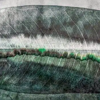 Green-house