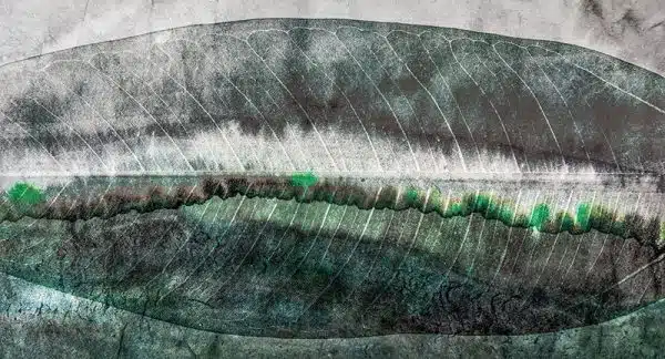 Green-house – Bild 2